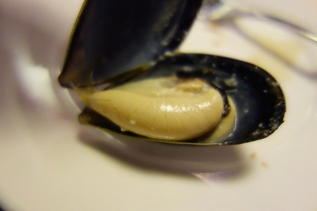 奶油青口贝