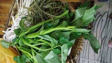 素菜（有土豆、有藕片、有贡菜……）