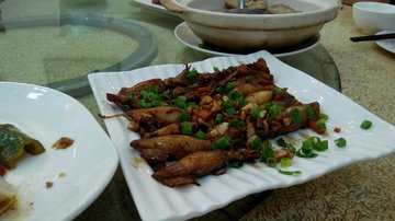 鱼露有膏吊桶仔