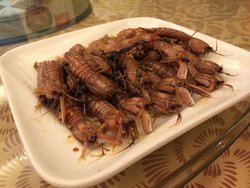 虾爬子