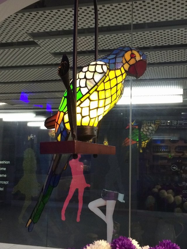 鹦鹉灯