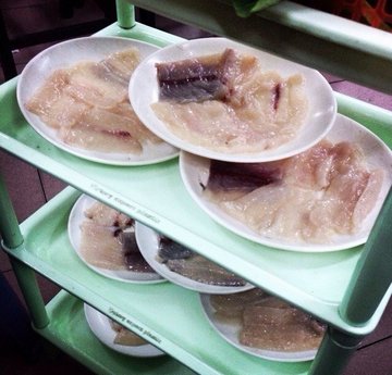 小石斑鱼