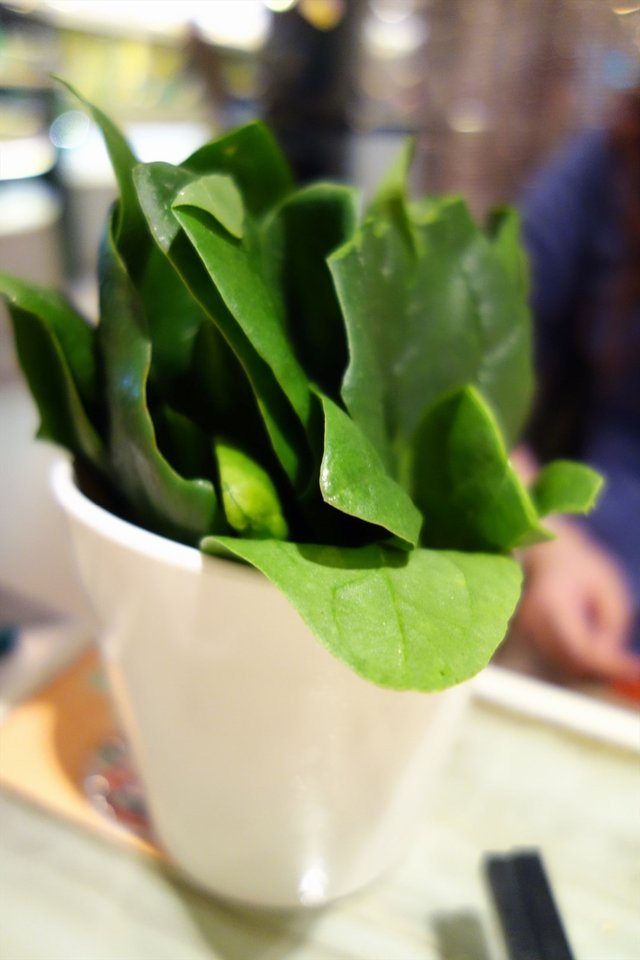 菠菜