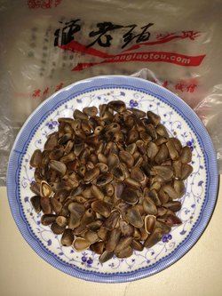 开口松子