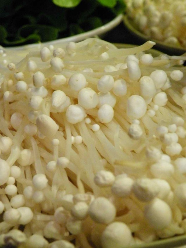 食材