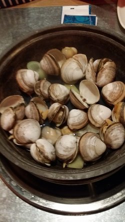 石锅白蚬子
