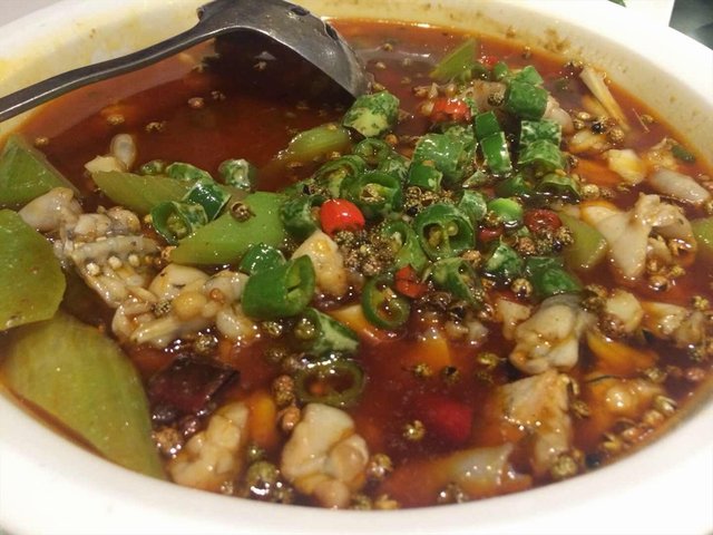 馋嘴蛙