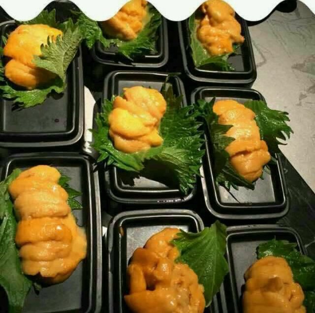 海胆