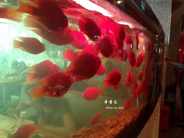 店内环境
