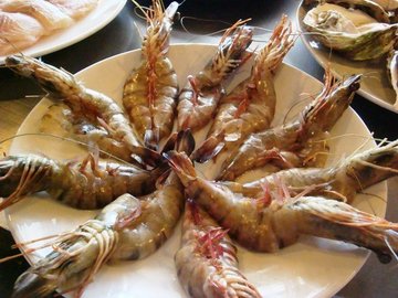 开背虾