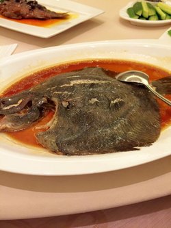 富贵鱼