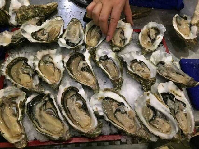 冰镇生蚝