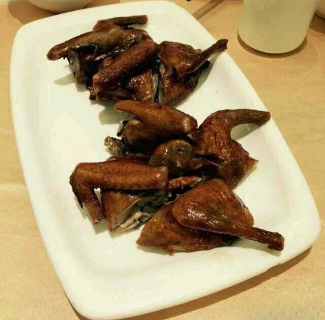 乳鸽