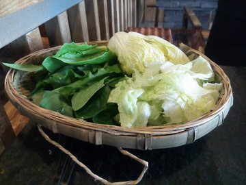 蔬菜组合