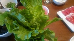 菠菜