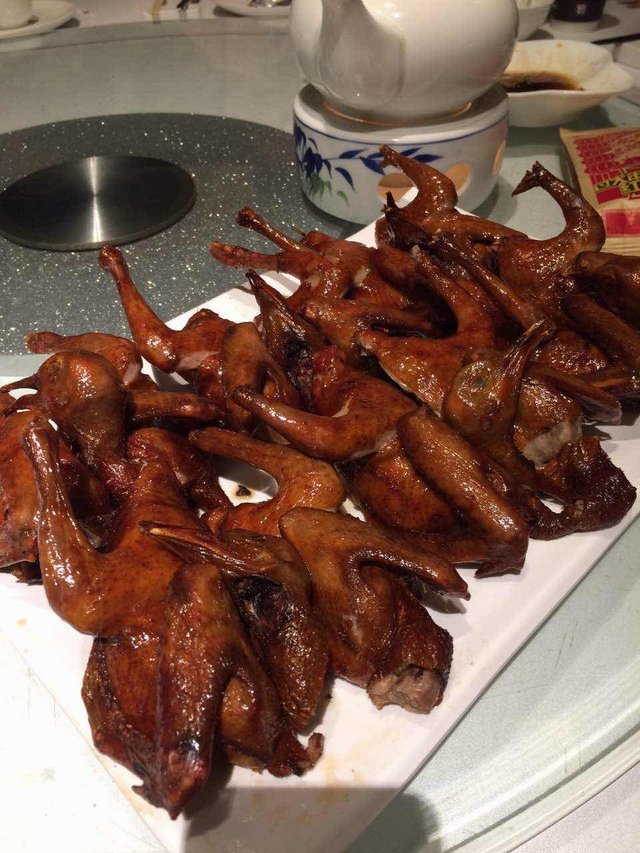 红烧乳鸽