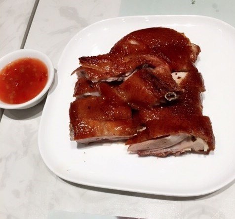 乳鸽