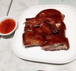 乳鸽