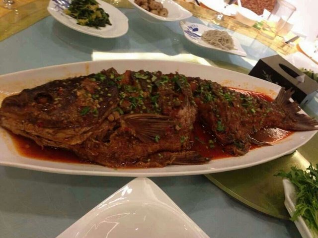 大黄鱼