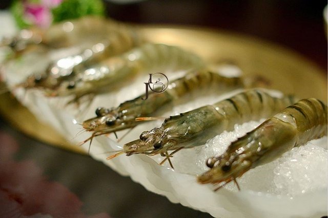 草虾