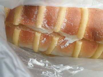 毛毛虫