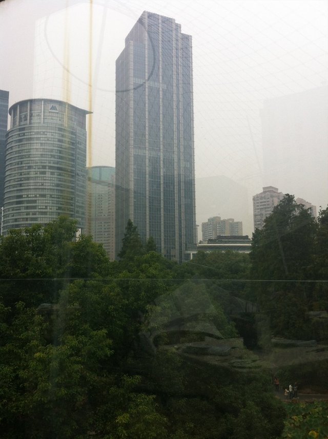 露台看出去的景
