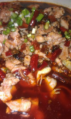 馋嘴蛙