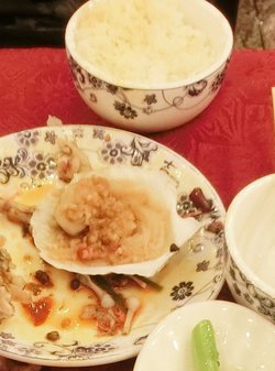 扇贝