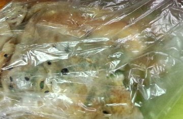 煎饼
