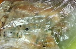 煎饼