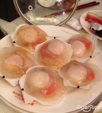 扇贝