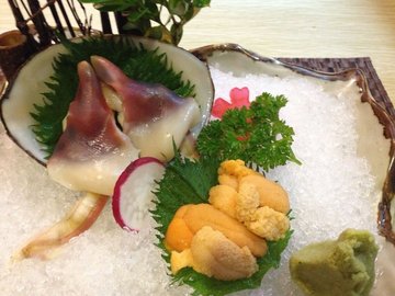 海胆