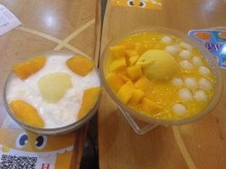 多芒小丸子
