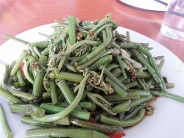 凉拌蕨菜