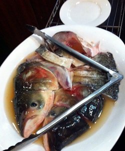 水库半鱼头