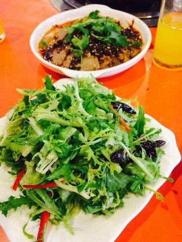 爽口苦菊