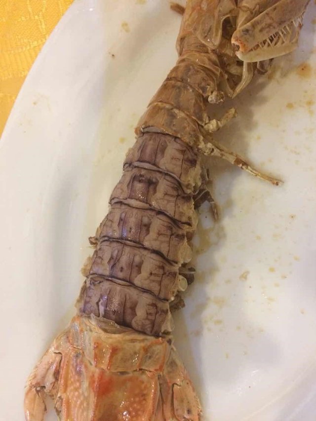 清蒸虾菇