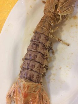 清蒸虾菇