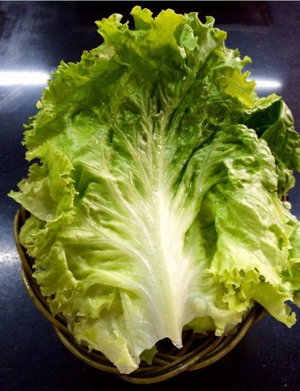 生菜