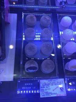 巧克力摩提