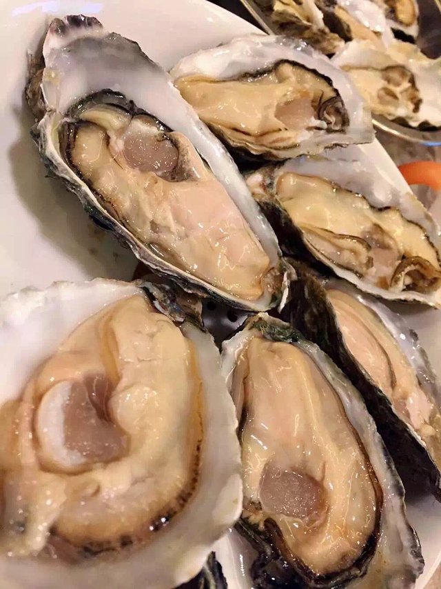 生蚝