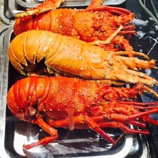 小青龙