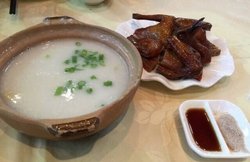 乳鸽