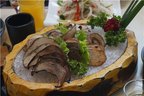 牛肝菌