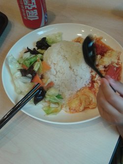 蕃茄鸡蛋盖饭