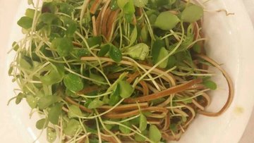 豆腐丝办豆苗