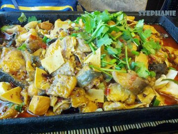 鲶鱼