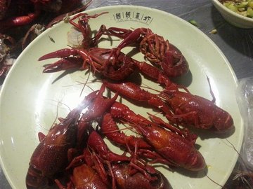 精品大蒸虾