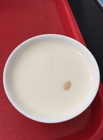 传统奶酪