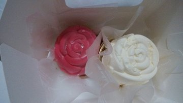 玫瑰倾心